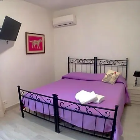 Alojamento de Acomodação e Pequeno-almoço Casa Andreana